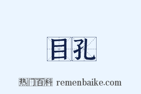 目孔是什么意思的图片